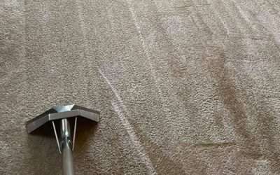 What Are The Benefits Of Having Your Carpet Cleaned?